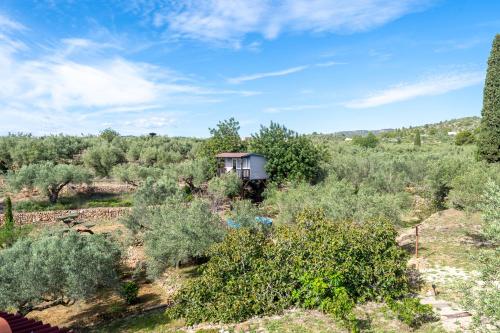 a house in the middle of a field with trees at Casa Arbol in Camarles
