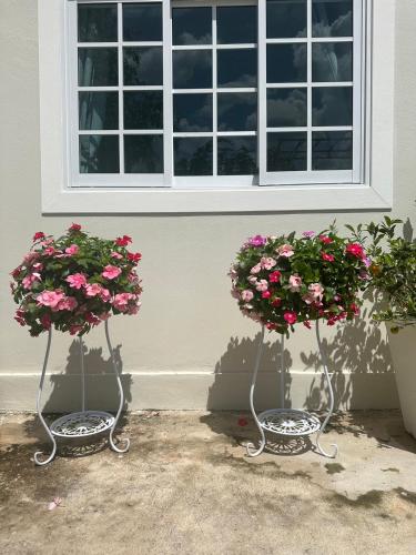 two potted plants sitting in front of a window at หลัง 2 เฌอเฌอ การ์เด้น เฮาส์ ที่พักคำชะโนด in Ban Nong Sawang