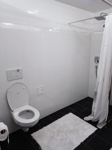 a white bathroom with a toilet and a shower at FeApp Souterrain Pennen & Parken in Mondsee