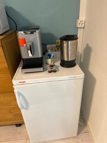 a coffee maker on top of a white refrigerator at Gabi's Wolfühloase in Balerna
