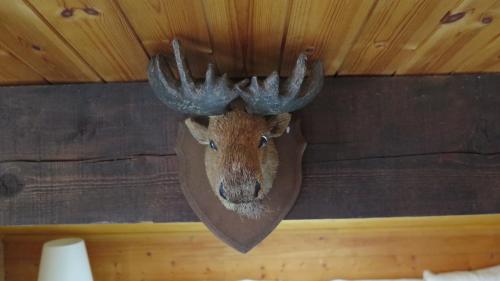 a moose head hanging on a wall at Chalet Esher Surrey in Ried-Brig