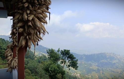 a bunch of bunches of bananas hanging from a building at Tamang Culture Homestay in Nagarkot