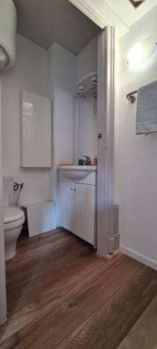 une salle de bain avec toilettes et lavabo dans l'établissement Le Carnot 3, proche du centre historique, à Besançon