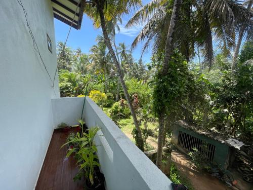 Zahrada ubytování Ceylon Sungarden