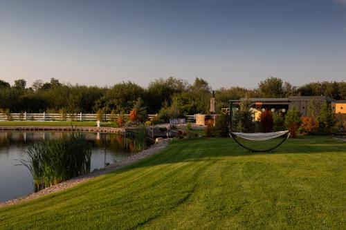 a hammock sitting on the grass next to a lake at Lisi Ogon zanurzeni w naturze in Lisi Ogon