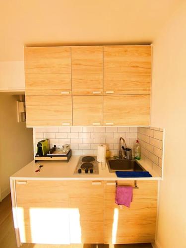 Elle comprend une petite cuisine avec un évier et des placards en bois. dans l'établissement Le cockpit, à Paris