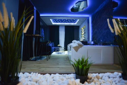 a blue room with a counter and some plants at TULUM luxury suites-SKOPJE in Skopje