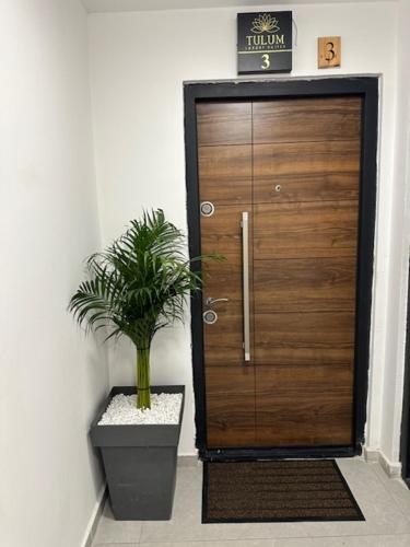 a wooden door with a potted plant in front of it at TULUM luxury suites-SKOPJE in Skopje