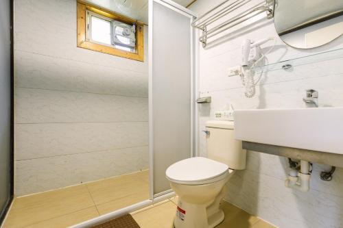 a bathroom with a toilet and a sink and a shower at Cingjing Star Lohas Manor B&B in Renai