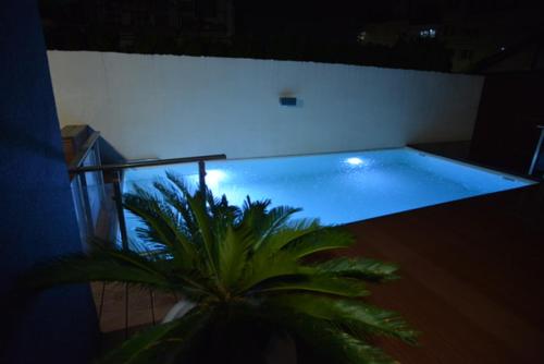 a large swimming pool with a palm tree in a room at TULUM luxury suites-SKOPJE in Skopje