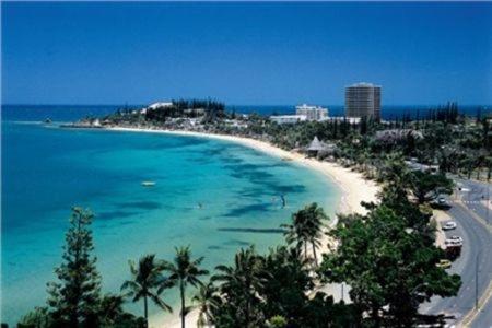 a view of a beach with palm trees and the ocean at À 50m de la plage et des bars de la baie des Citrons in Noumea