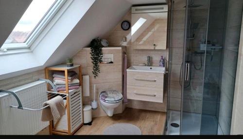 a bathroom with a shower and a toilet and a sink at Altstadtblick in Tangermünde