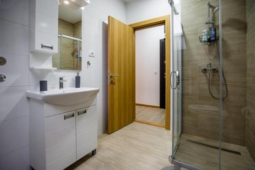 a bathroom with a sink and a shower at TOP VIEW apartment 40 in Arandjelovac