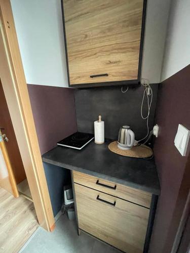 a kitchen with a counter with a stove and a counter top at APARTAMENTY VILLA PIGMALION - sauna, jacuzzi, parking, ogród in Kudowa-Zdrój
