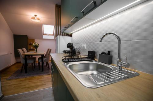 Kuchyň nebo kuchyňský kout v ubytování TOP VIEW apartment 44