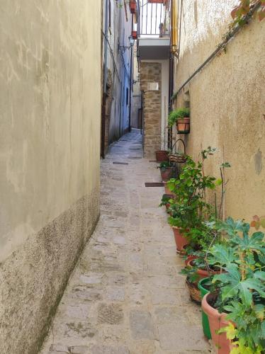 an alley with potted plants on the side of a building at All'Arco Casa Vacanza in Acerenza