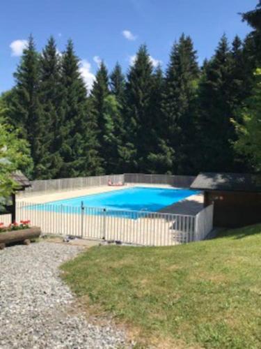 une grande piscine avec une clôture et des arbres dans l'établissement Vacances au sommet, idéal 5 à 6 personnes, à Saint-Gervais-les-Bains