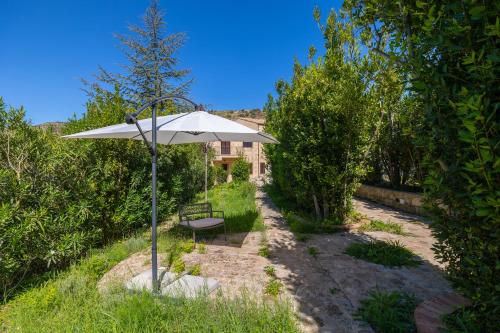 One-Bedroom Deluxe Apartment