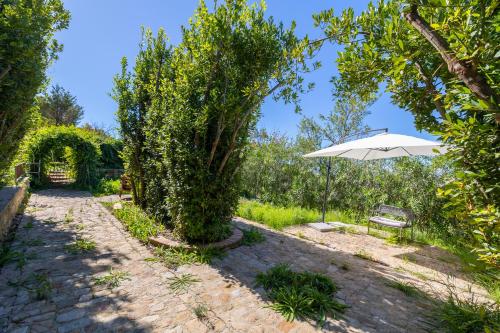 Deluxe One-Bedroom Apartment with Garden View