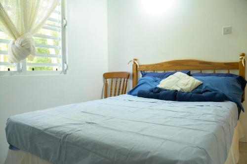 a bedroom with a blue bed with a window at Good Times in Gingerland