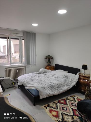 une chambre avec un lit et un tapis dans l'établissement Murat appartement 1 chambre double, à Strasbourg