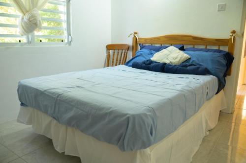 a bedroom with a bed with blue sheets and a window at Good Times in Gingerland