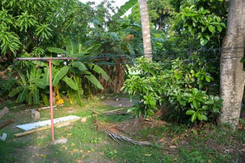 a pole with a rope in front of a forest at Good Times in Gingerland