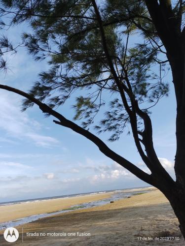 un albero sulla spiaggia con l'oceano sullo sfondo di Apto 2 Dorm Vista para Mar a Capão da Canoa