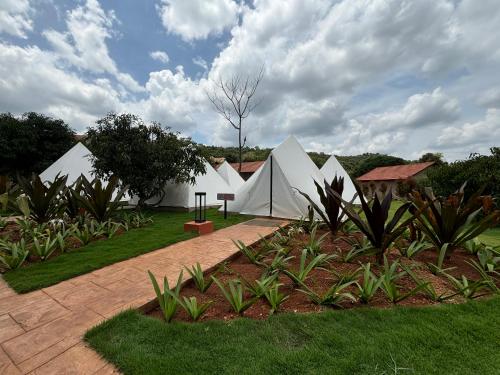 a group of white tents in a field with grass at Ravishing Retreat Resort in Rāmanagaram
