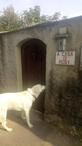 Gallery image of A casa di Roby in Pinerolo