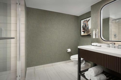 Bilik mandi di Embassy Suites by Hilton Dallas Near the Galleria