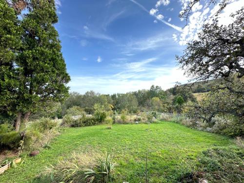 ein großes Grasfeld mit Bäumen und Sträuchern in der Unterkunft Appartement dans un ecrin de verdure terrasse privee in Saint-Germain-au-Mont-dʼOr