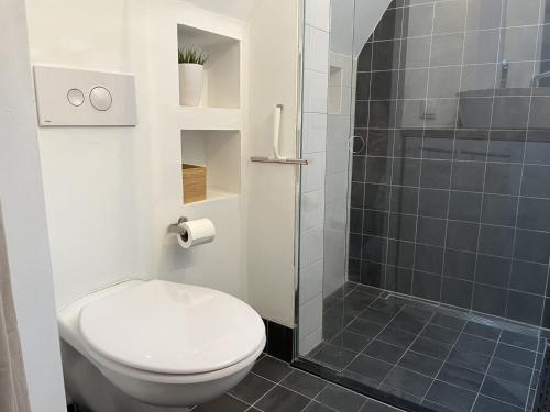 un baño con inodoro y ducha en Sfeervolle monumentale woning, in het centrum van Middelburg, en Middelburg