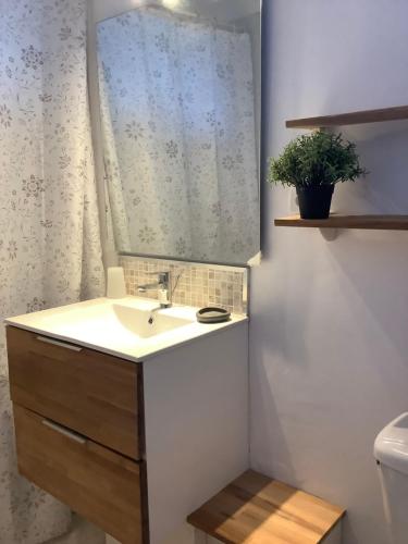a bathroom with a sink and a mirror at Appartement 1 in Sainte-Rose