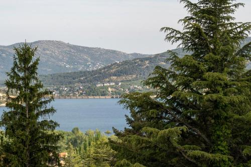 a view of a lake from between two trees at Hotel Hita "Nature Experience" for all in Navacerrada