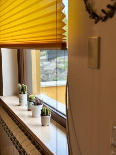 a row of potted plants sitting on a window sill at La Casa in Campagna in Ferrazzano