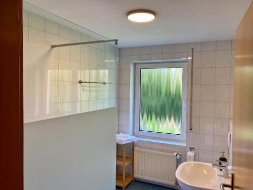 une salle de bain avec un lavabo et une fenêtre dans l'établissement Ferienwohnung Pützbachtal, à Daun
