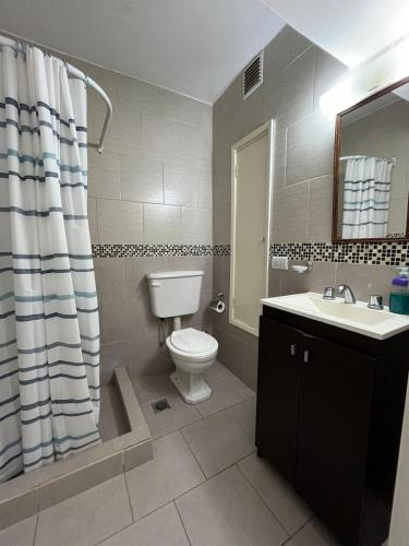 a bathroom with a toilet and a sink at DEPARTAMENTO PLAYA MIRAMAR in Miramar