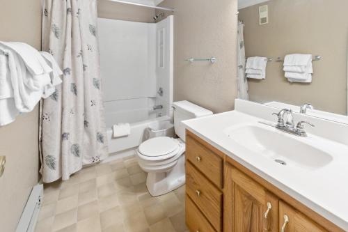 a bathroom with a sink and a toilet and a shower at ML229 Mountain Escape Great for Relaxing Near Village in Snowshoe