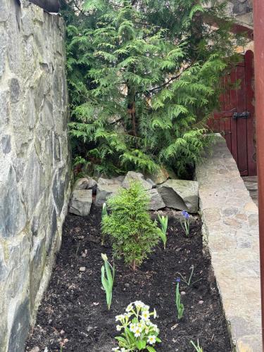 a garden with plants and a stone wall at Georgiy in Oryavchyk