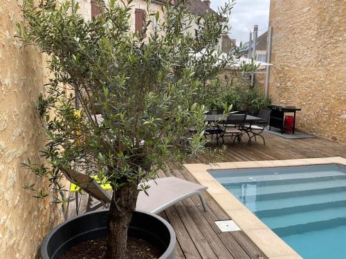 un pot assis à côté d'une piscine dans l'établissement Le Clos de Saint-Martial, Saint-Martial-de-Nabirat, à Saint-Martial-de-Nabirat