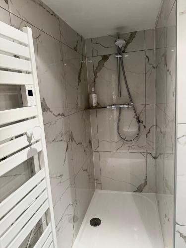 La salle de bains est pourvue d'une douche avec des murs en marbre et une échelle. dans l'établissement Le Ty Baty - Hypercentre, à Rennes