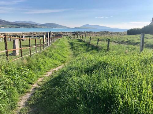 a path through a field with a fence at Taigh Marsaili in Luskentyre