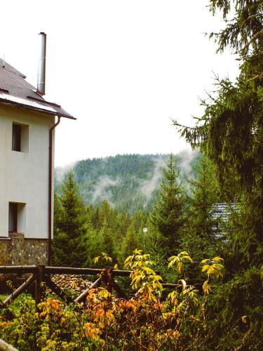 a house with a view of a forest of trees at Cabana Laptici - statiunea Pestera-Padina, Bucegi in Sinaia