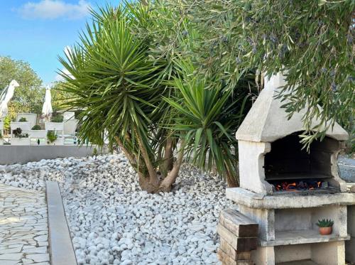 Κήπος έξω από το VillaGiardina