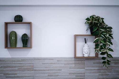 Fotografie z fotogalerie ubytování Cori ri Palermo v destinaci Palermo