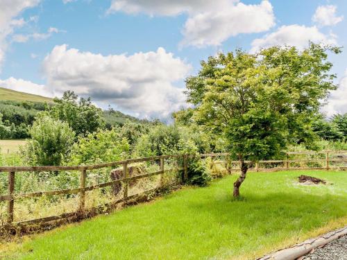 a tree in a field next to a fence at 2 Bed in Hawick 91905 in Roberton