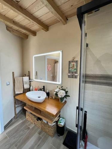 a bathroom with a sink and a mirror and a shower at El Capricho de Rosa in Puerto de Béjar