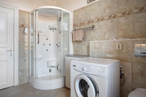 bagno con lavatrice e doccia di Fewo zum alten Hotel in Gramzow a Gramzow