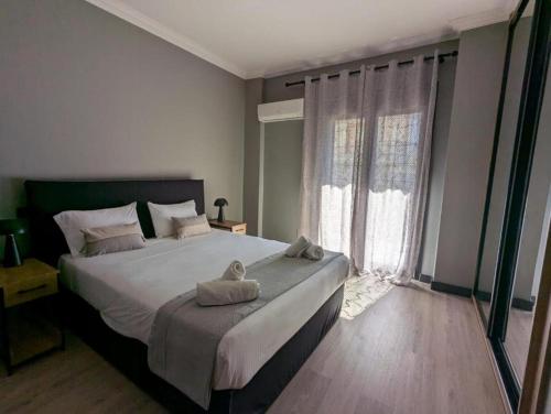 Momentum Apartment